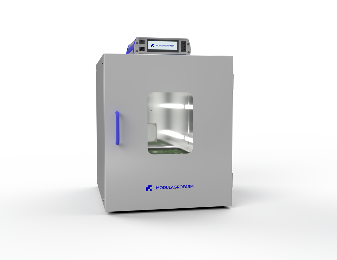 spirulina-microgreens-armoire-de-culture